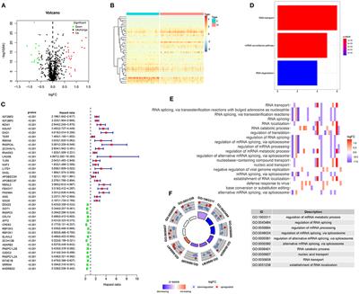 Development and Multi-Data Set Verification of an RNA Binding Protein Signature for Prognosis Prediction in Glioma